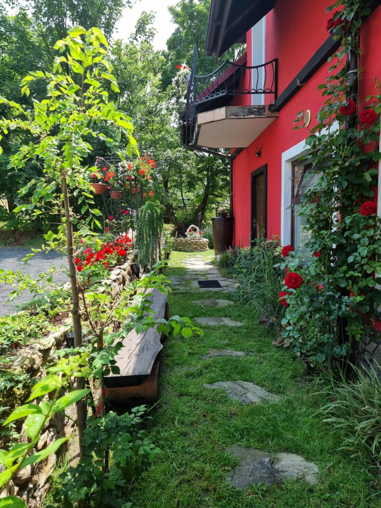Apartamenty U Bodzia Stronie Śląskie Extérieur photo